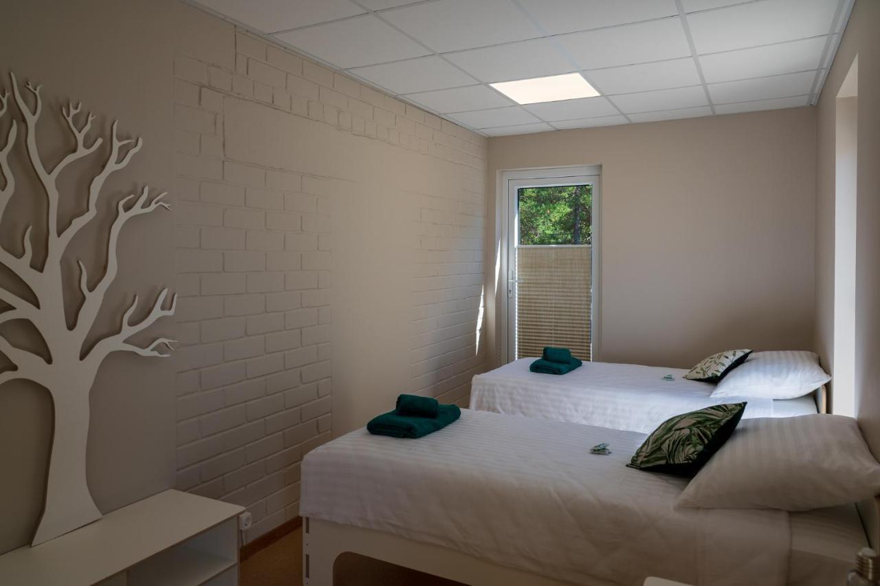 Joesuu Guesthouse Vaana-Joesuu 외부 사진